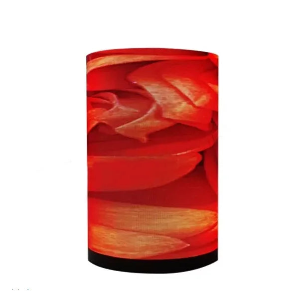 Innovative P2.5 320x160mm Flexible LED Screen for Indoor Advertising - Unmatched Visual Appeal